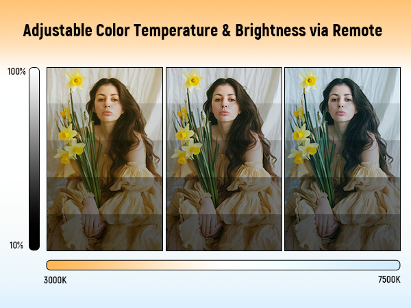 lighting for video recording