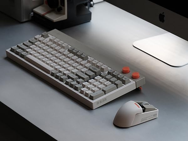PBT mouse