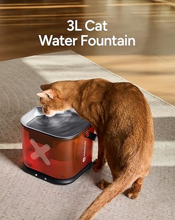 cat water fountain