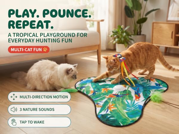 cat toys