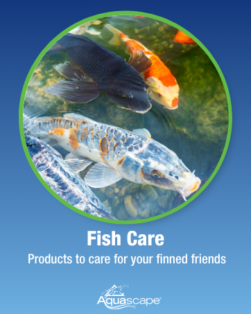 Fish Care Products
