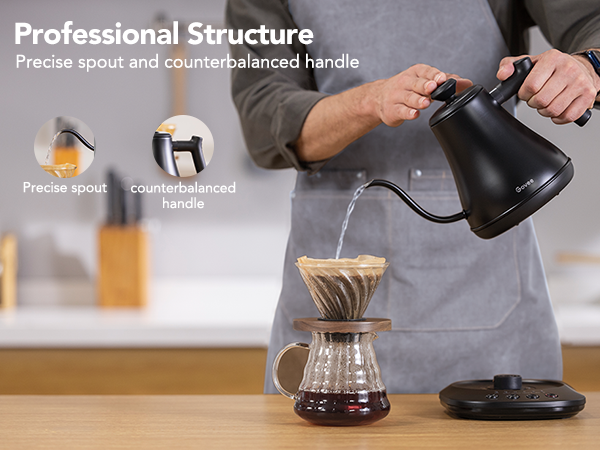 Professional Structure