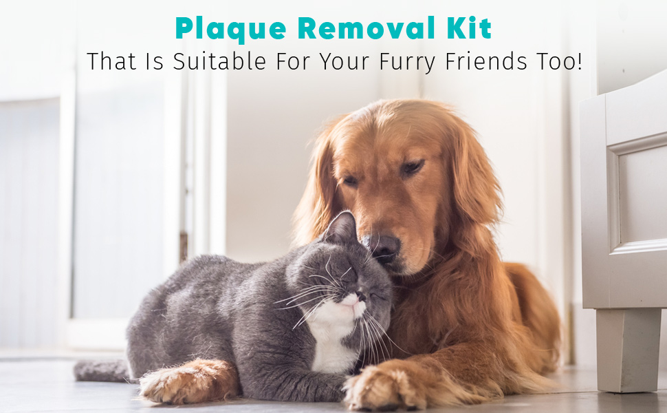 tartar remover for teeth