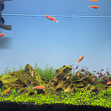 commercial air pump air pump aquarium aquarium air pump pond air pump hydroponic air pump