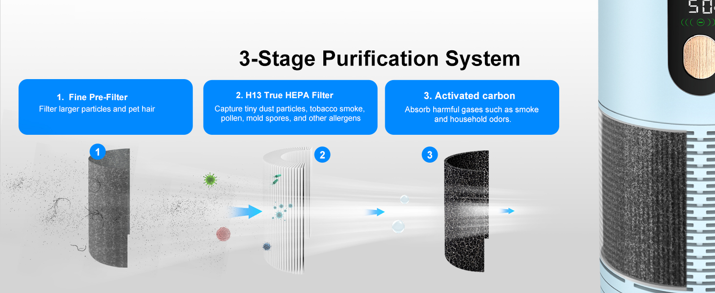 3-Stage