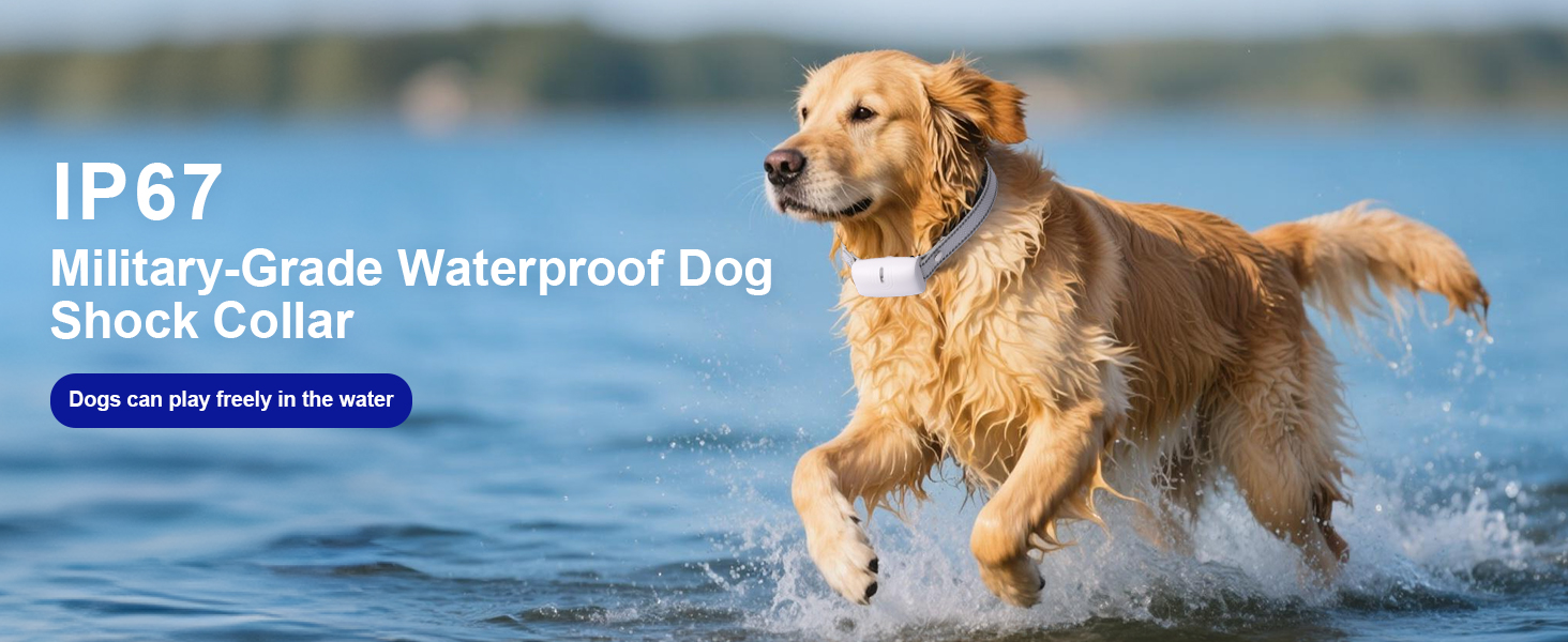 shock collar for dogs waterproof