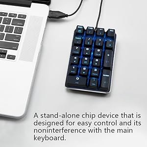 chip device