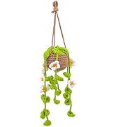 HFZRZFH Crochet Hanging Plant for Car - Rear View Mirror Accessories for Women, Cute Handmade Kni...