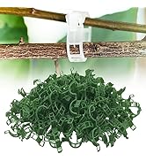Garden Plant Clips, 2026 Secured Plastic Plant Clip Garden Clips for Climbing Plants Portable Tom...