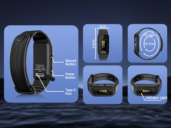 voice recorder with playback