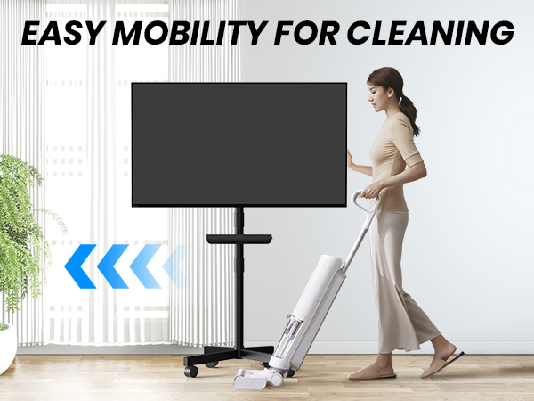 Mobile TV Cart