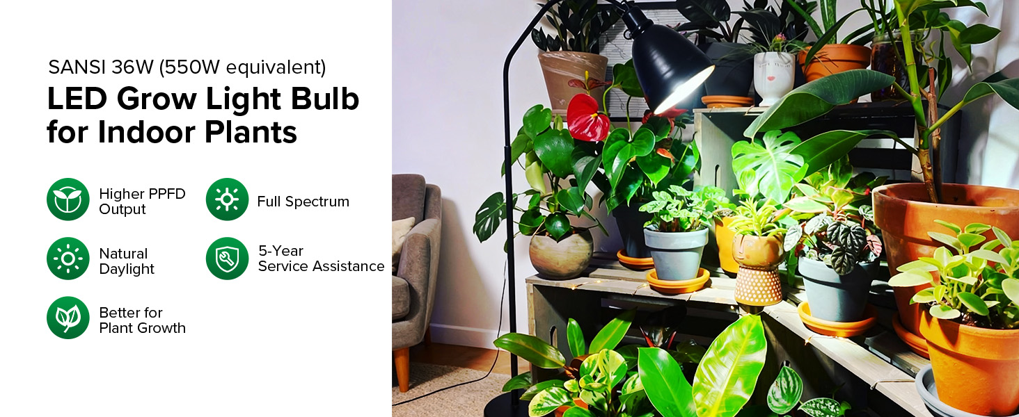 grow light bulb