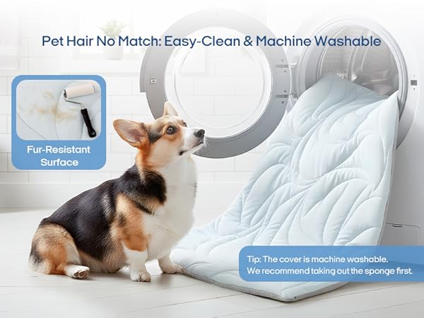 Pet Hair No Match: Easy-Clean &amp; Machine Washable