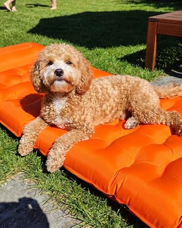 Camping Sleeping Pad,5.9 Inch Thick Camping Mat with Built in Pillow and Foot Pump