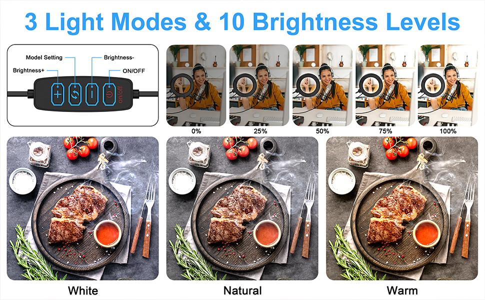 Articulating Arm Phone Mount