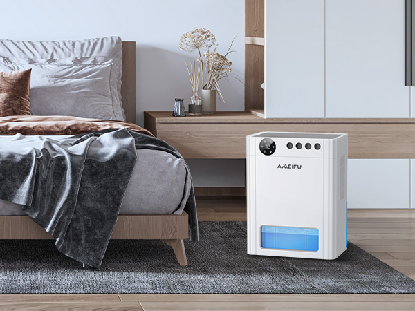 Dehumidifier