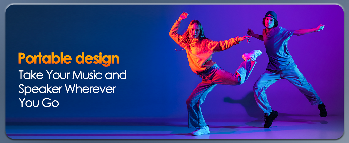 portable speaker wired