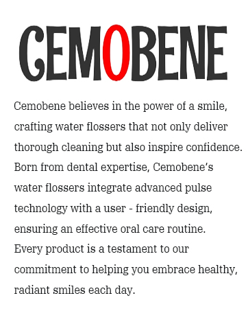 cordless water flosser rechargeable