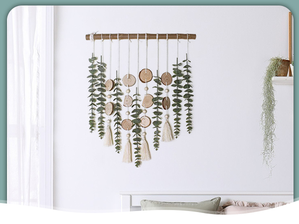 30pcs eucalyptus
