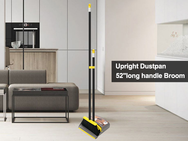 broom and Dustpan set 