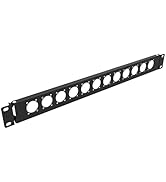 QiaoYoubang 1U Hinged D-Series 12 Connectors Punch-Out Component Panel for 19 inches Sound, AV, C...