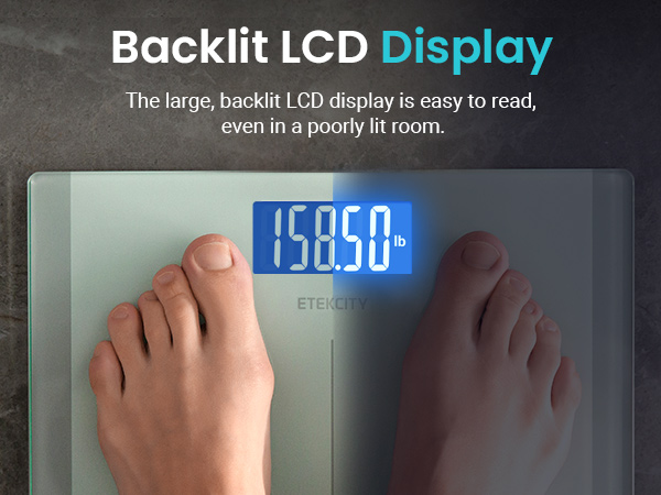 Backlit LCD Display