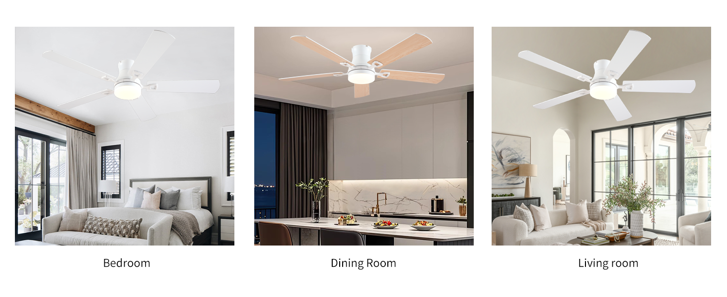 ceiling fan
