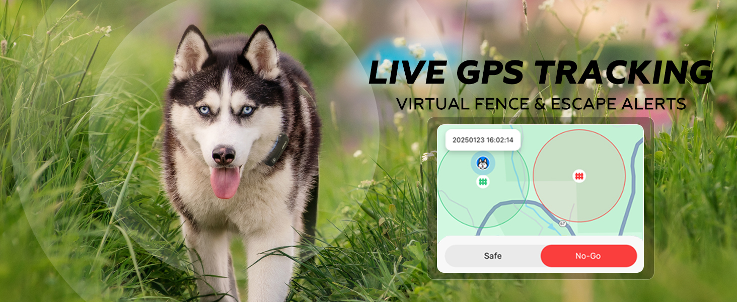 Live GPS Dog Tracker