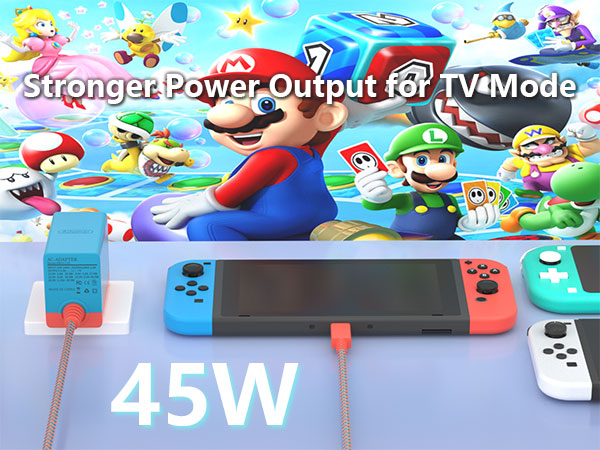 Charger for Switch