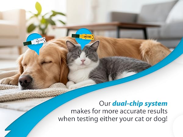 EasyTouch Vet GMS - Dual-Chip System