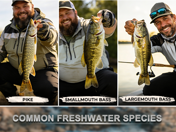 Largemouth Bass Smallmouth Bass/ Pike