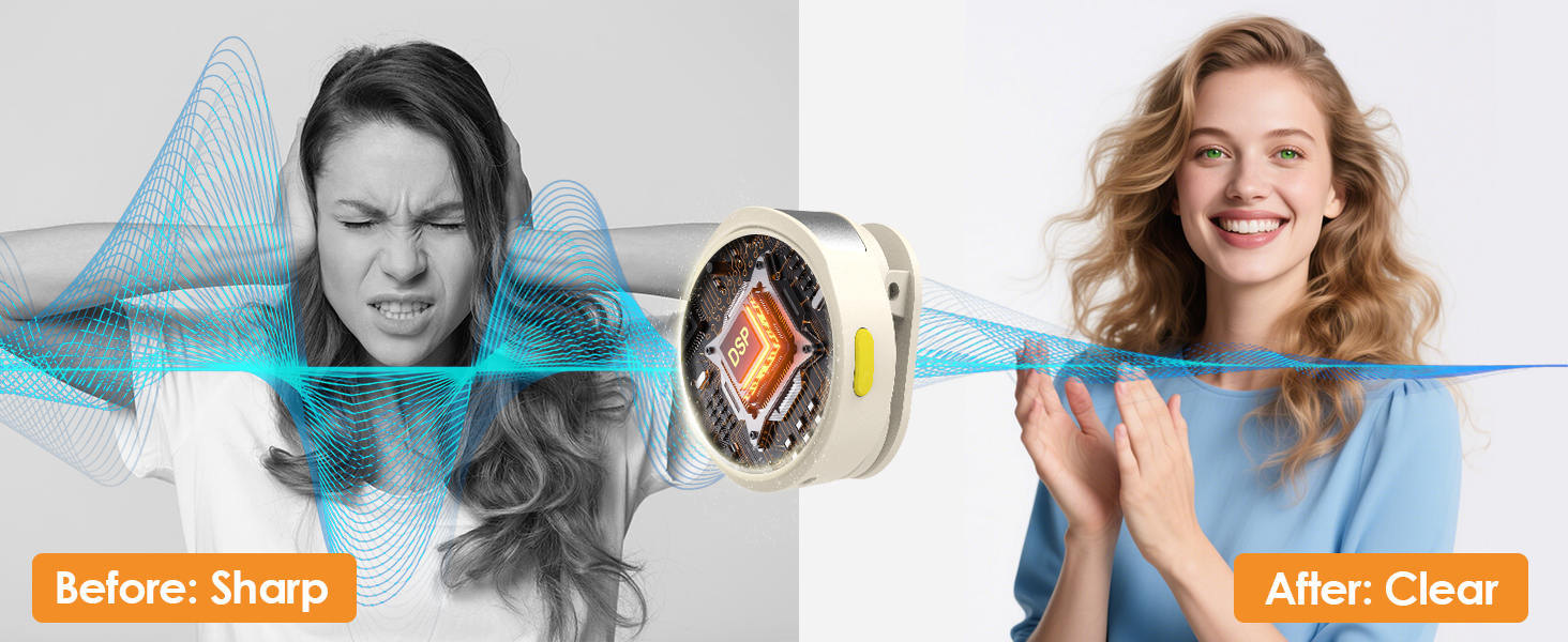 voice amplifier wireless