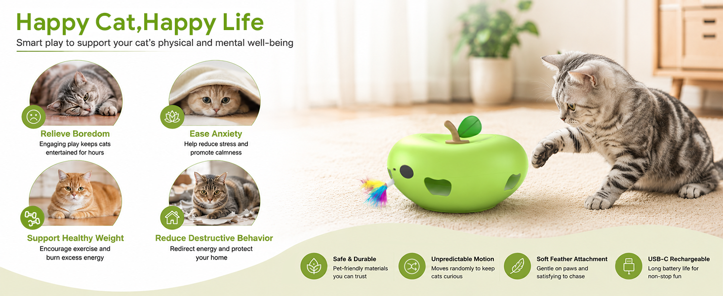 cat toys