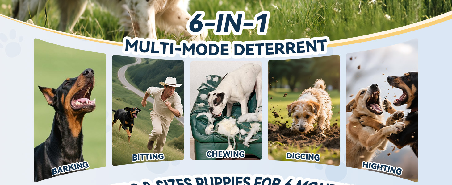 no barking device for dogs