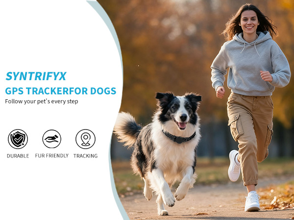 dog tracker gps for dogs pet cat collar cats life360 tracking tag device para perros fi mini apple