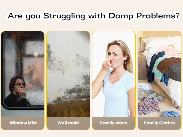 small dehumidifier