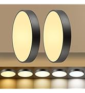 HLinghtnet 24W Dimmable Ceiling Light Fixture, 12 inch Flush Mount Light Fixture, LED Ceiling Lig...