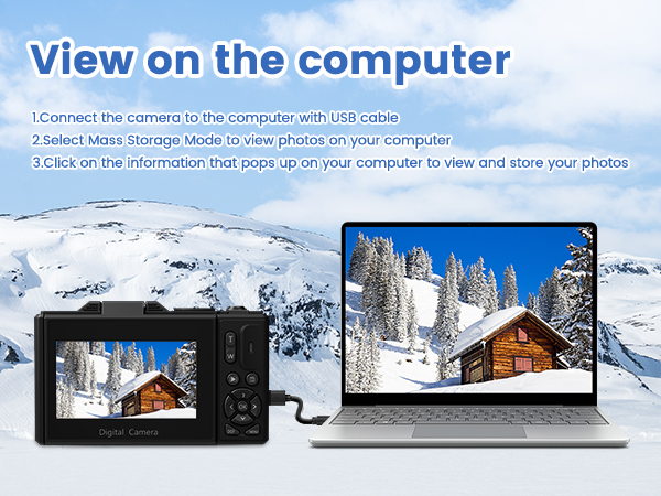 point and shoot digital cameras