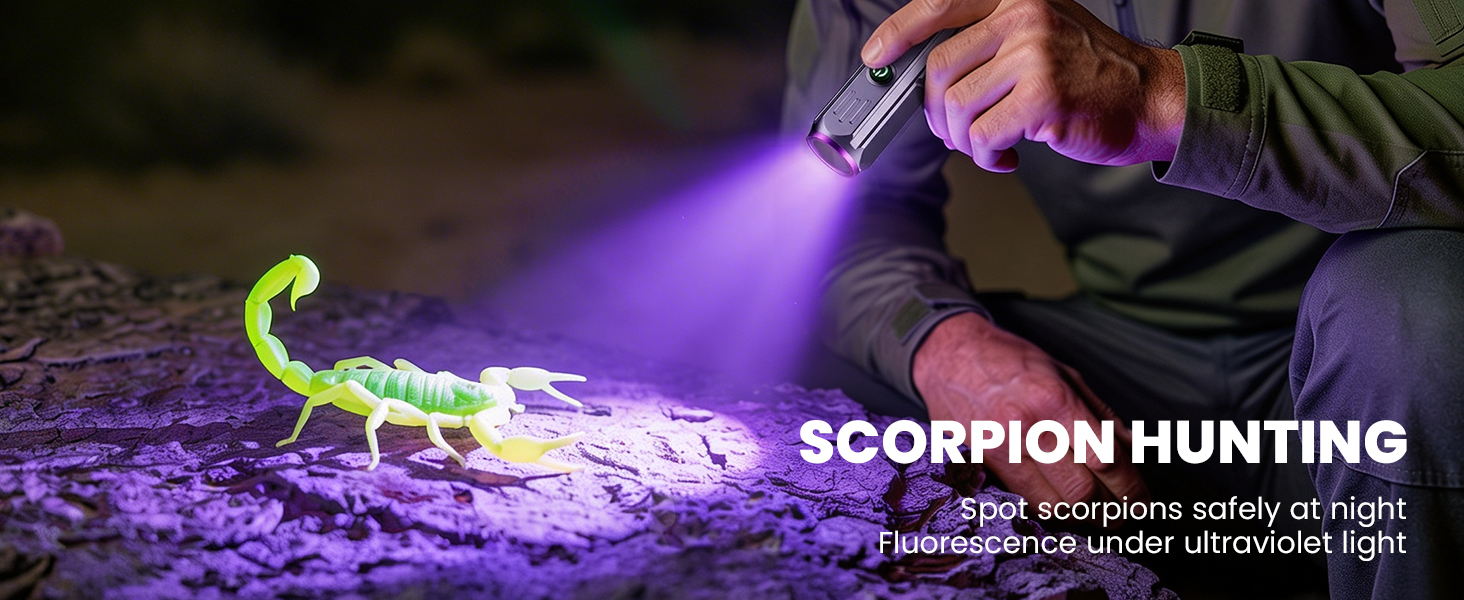 uv flashlight rechargeable