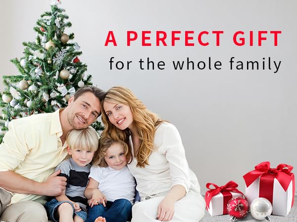 electric milk frother handheld