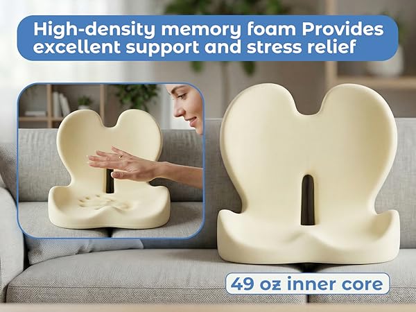 seat cushion with lumbar support back support cushion