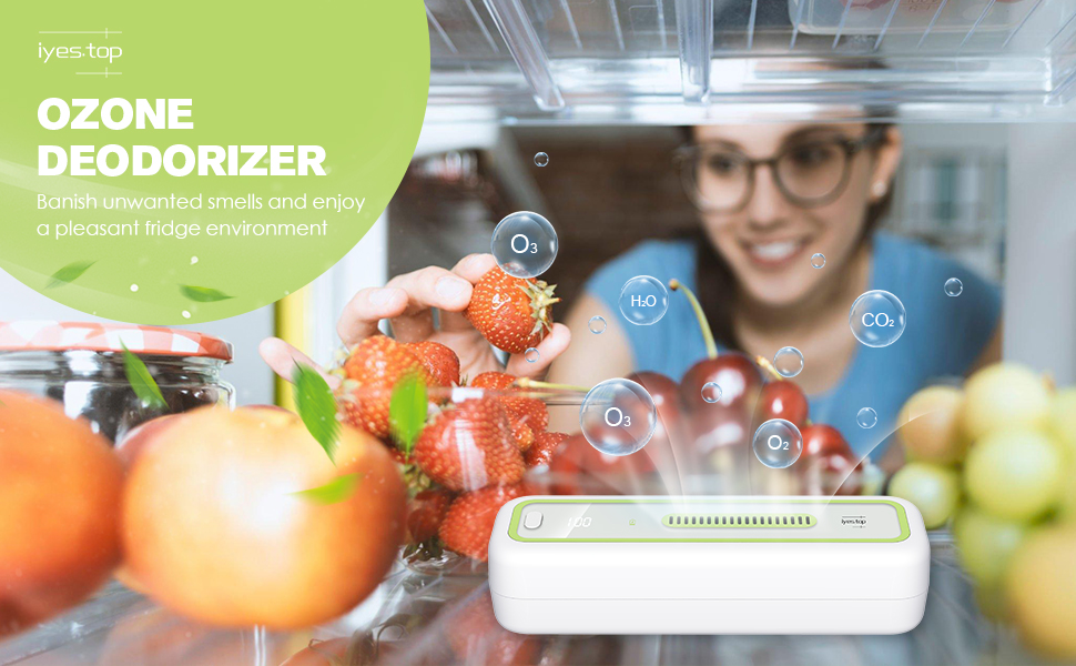iyes.top Fridge Deodorizer