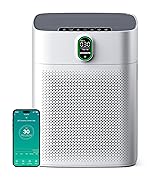 smart air purifier