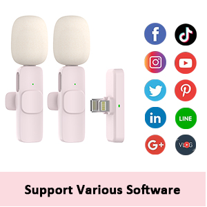 Wireless Mic Pink