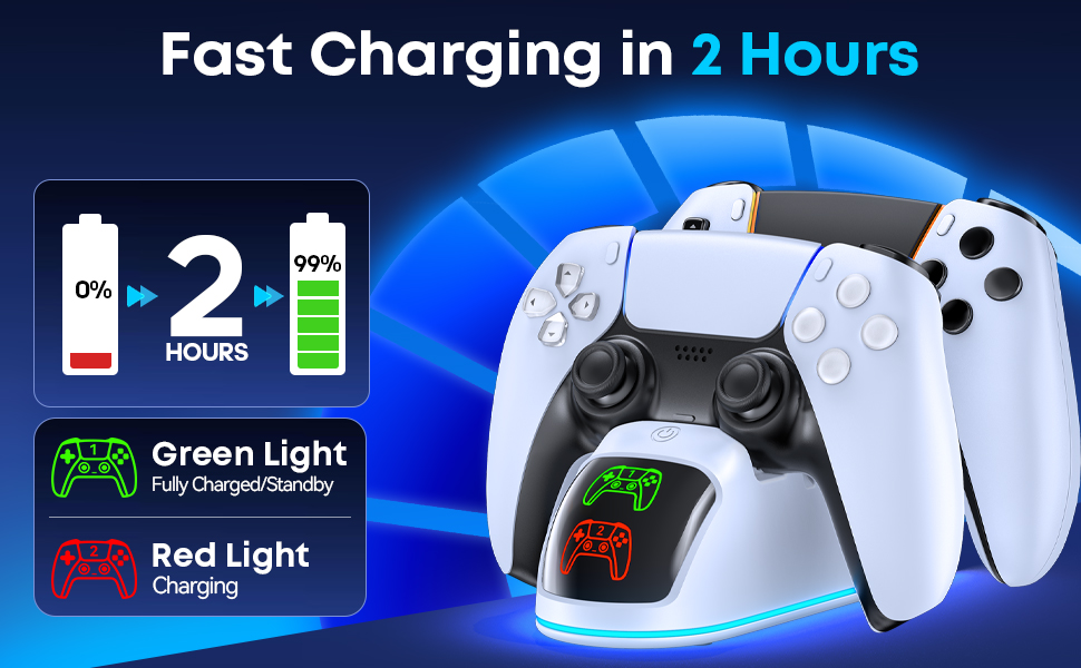 P5 Controller charger