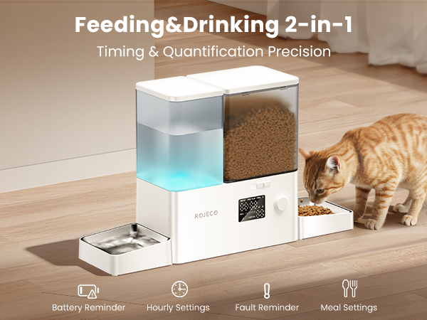 Automatic Cat Feeder and Water Dispenser