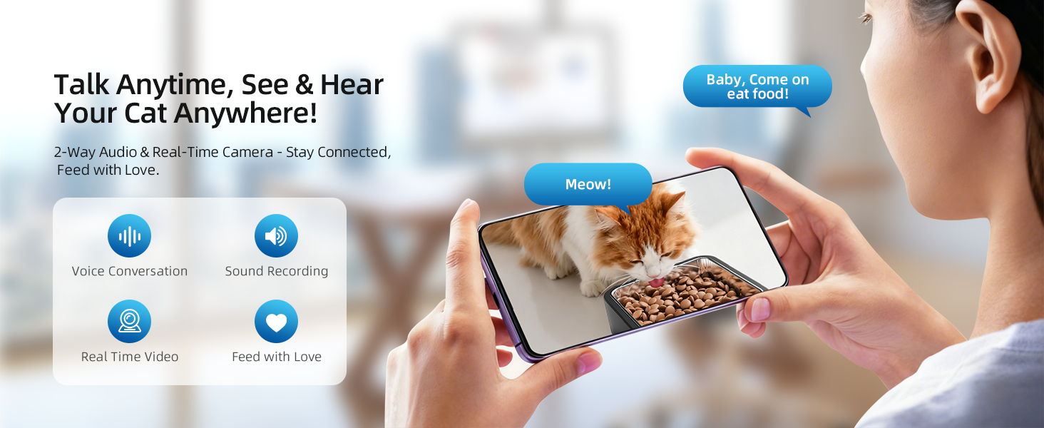 automatic cat feeder