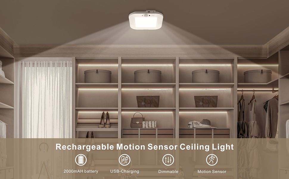 Motion Sensor Ceiling Light