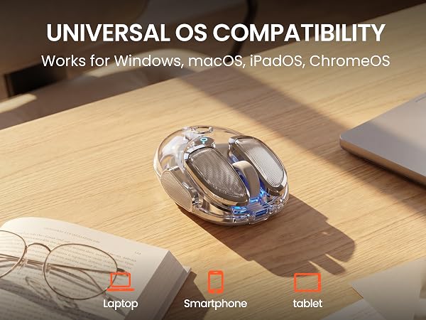 computer mouse