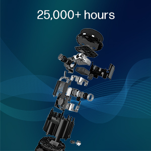 25000+